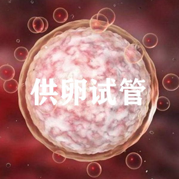 供卵试管