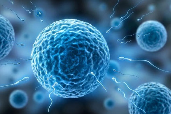 russia-ivf.jpg